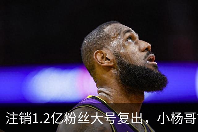 注销1.2亿粉丝大号复出，小杨哥首秀5分钟只有1700人看完